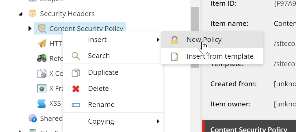 Insert new Content Security Policy